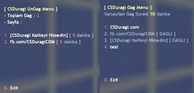 cs 1.6 gagmen&uuml;