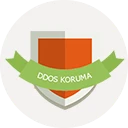ddos koruması